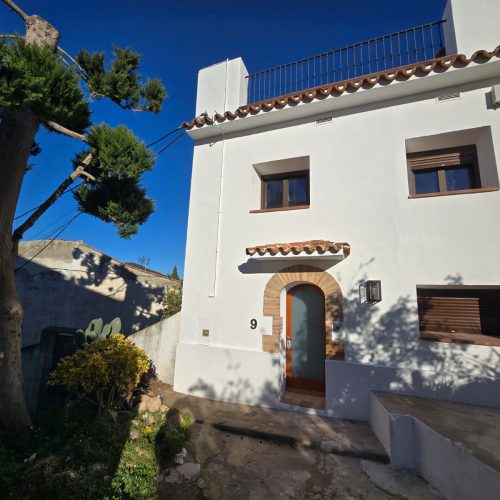 PHOTO-2024-12-17-12-39-53-3